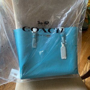 Coach Mollie Handbag